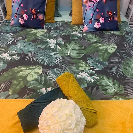 Beautiful Cozy 아파트